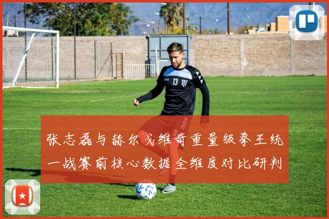 张志磊与赫尔戈维奇重量级拳王统一战赛前核心数据全维度对比研判