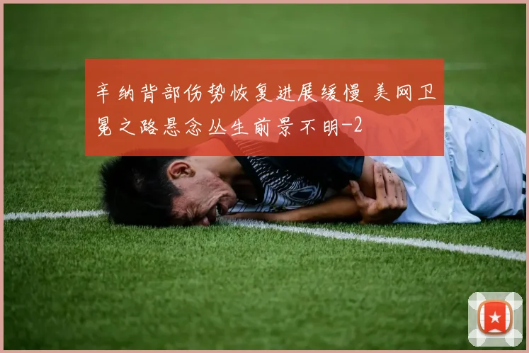 辛纳背部伤势恢复进展缓慢 美网卫冕之路悬念丛生前景不明