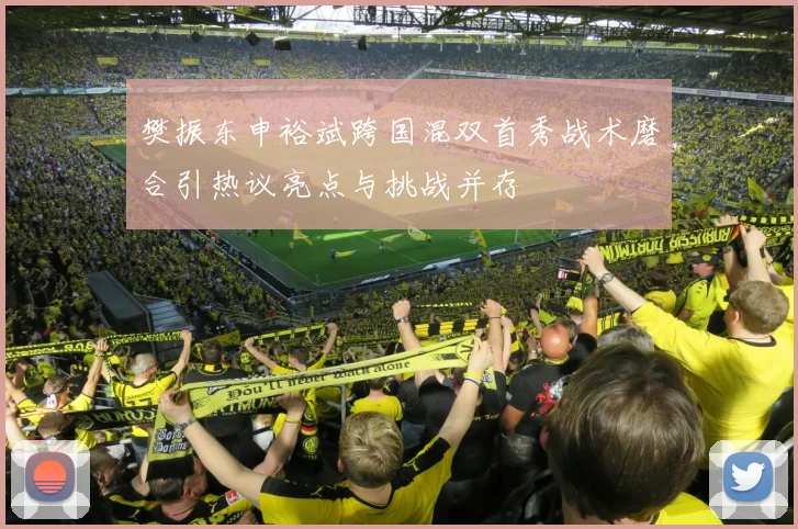 樊振东申裕斌跨国混双首秀战术磨合引热议亮点与挑战并存