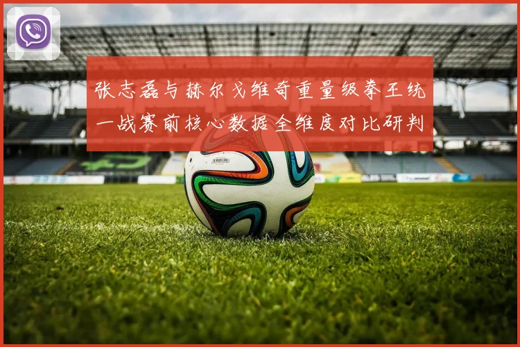 张志磊与赫尔戈维奇重量级拳王统一战赛前核心数据全维度对比研判