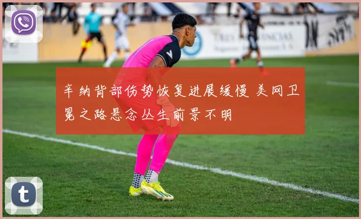 辛纳背部伤势恢复进展缓慢 美网卫冕之路悬念丛生前景不明